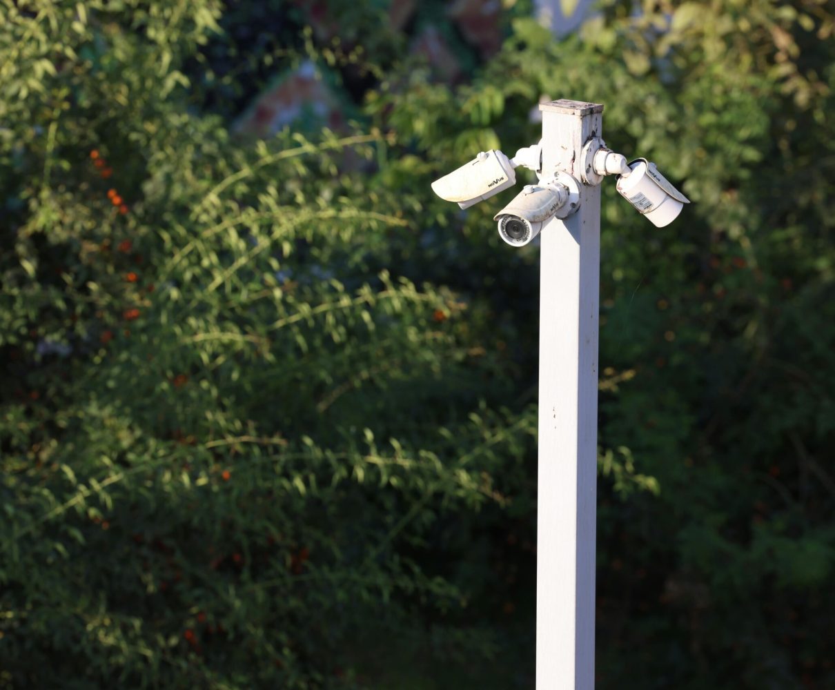 pexels photo 36852946 36852946 Cluster of surveillance cameras mounted outdoors amidst green foliage for public safety.